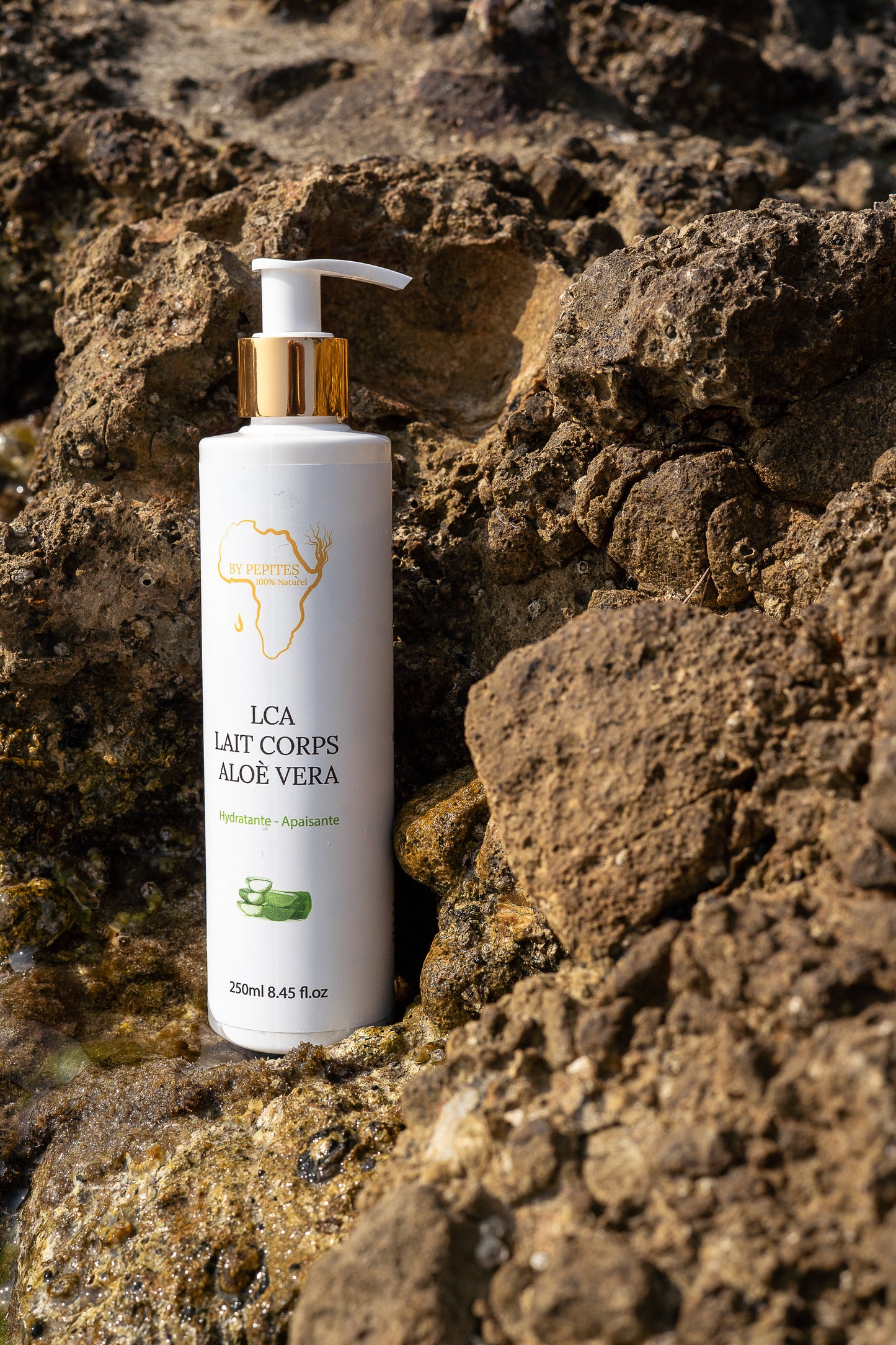 Lait Corps Hydratant à l’Aloé Vera – LCA