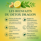 DETOX DRAGON – Thé Détox & Minceur (Parfum Citron Gingembre)