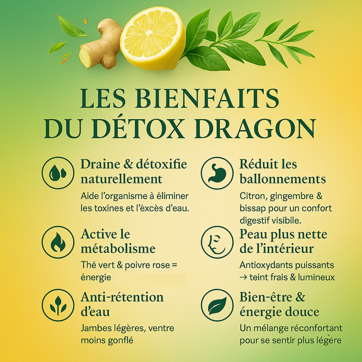 DETOX DRAGON – Thé Détox & Minceur (Parfum Citron Gingembre)