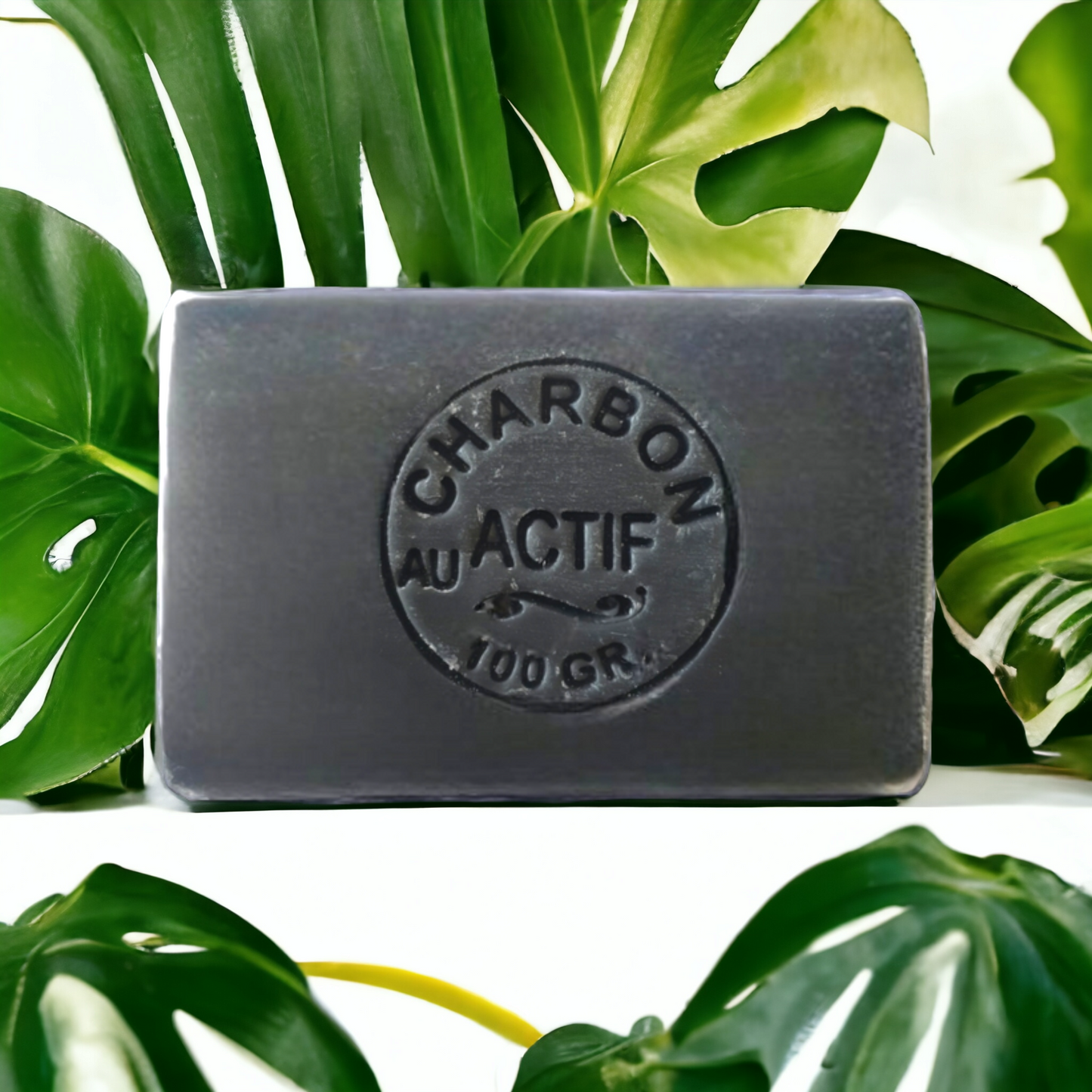 Savon CHARBON VÉGÉTAL, (purifie et élimine impuretés et toxines)