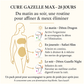Pack Gazelle Max – Cure Minceur 28 Jours (Affiner & Drainer)